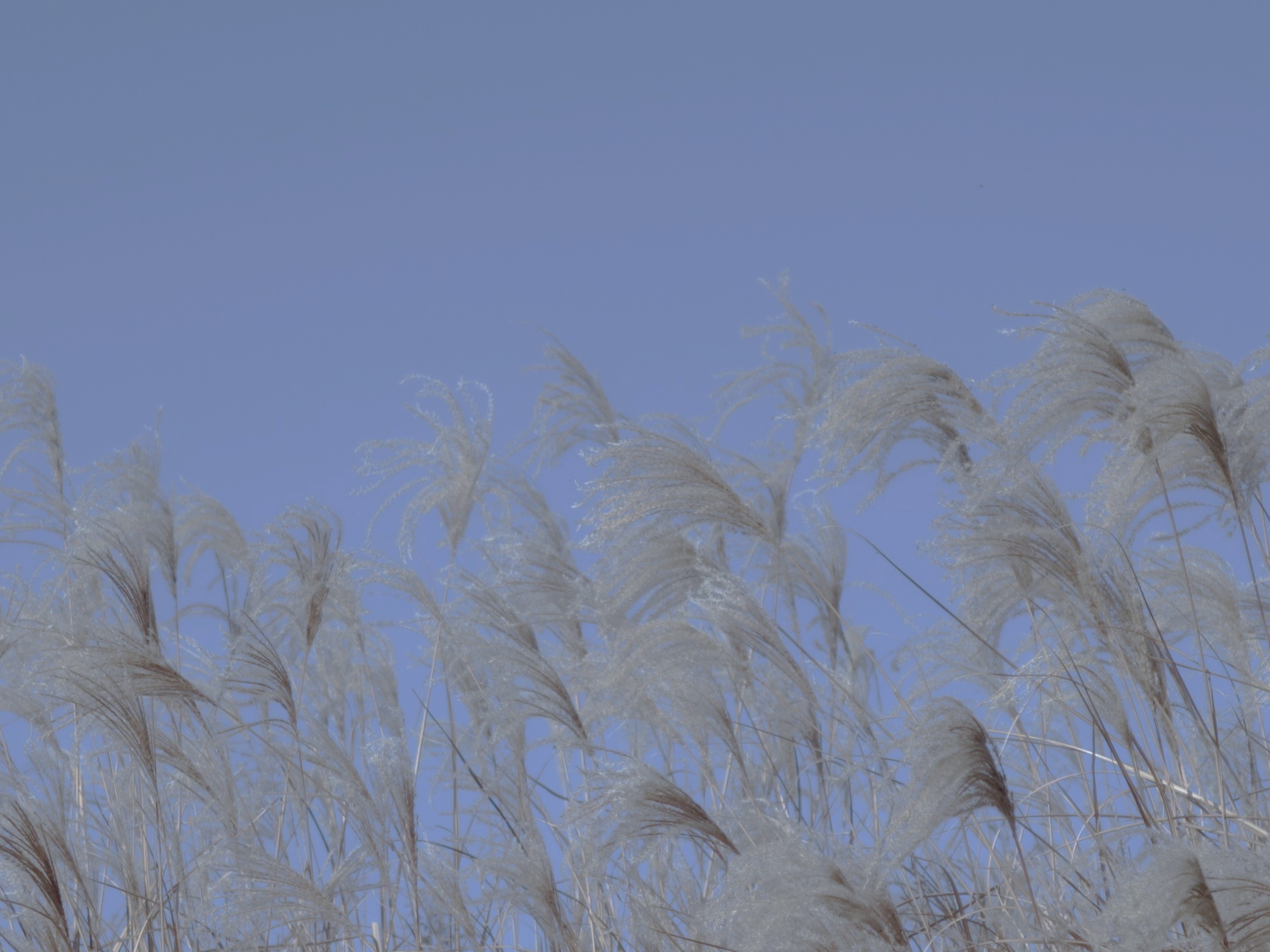 【　年末年始のオンラインストアの発送業務について　】